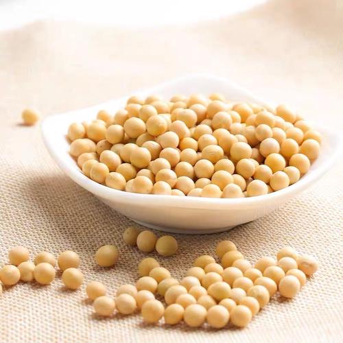 美大豆销量骤降50%;美大豆销量骤降50亿