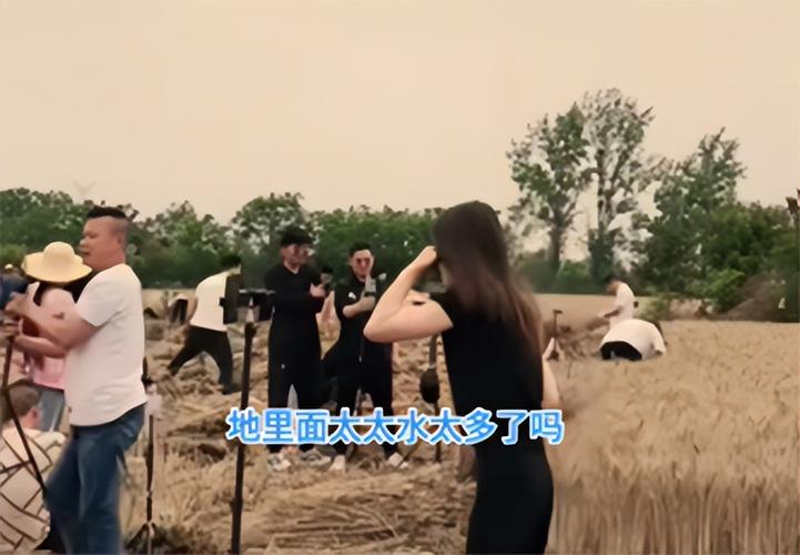 网红麦田被游客踩踏;官方回应网红麦田被游客踩踏