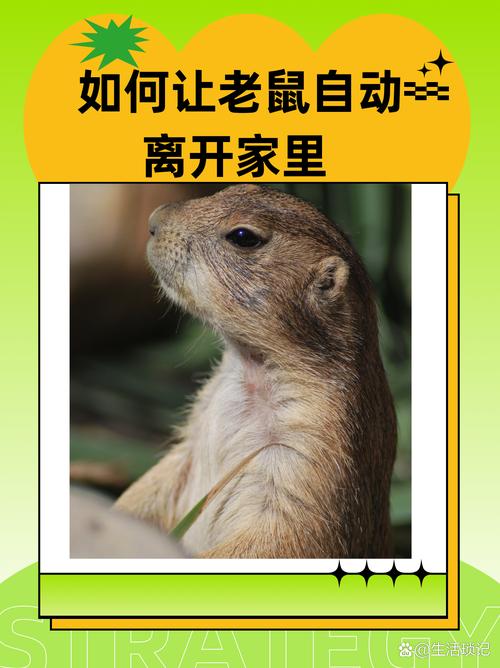拆快递拆出活老鼠;拆快递拆出活老鼠怎么处理