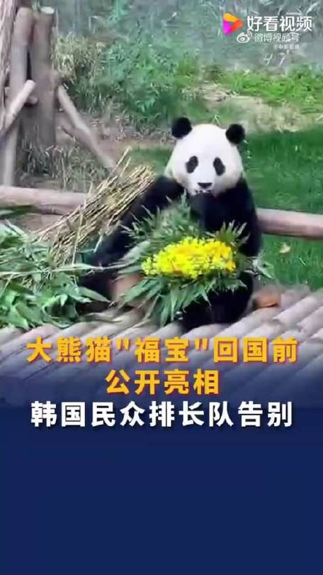 下载中心 第189页