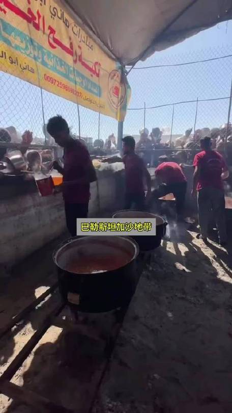 新澳天天彩免费大全和加沙数万难民抢食物与加沙数万难民抢食物视频