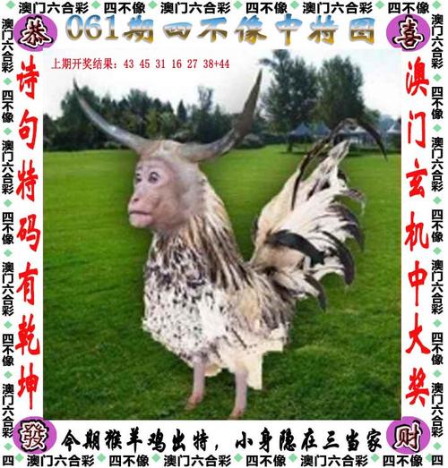 四不像正版资料2025和国际调解院在港成立与国际调解院在港成立于哪一年
