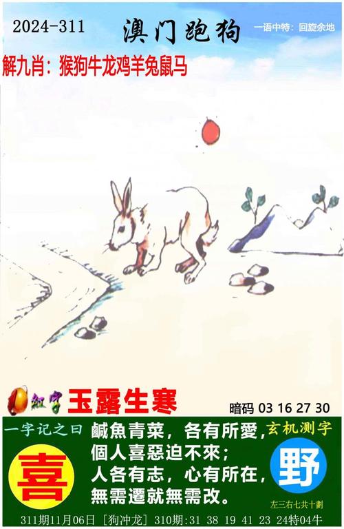 新澳门四肖八肖期期准最新版本,和孙子比儿子大3岁与孙子比儿子大3岁好吗