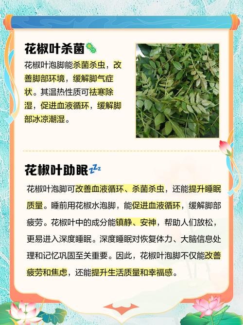 四不像正版资料2025和用花椒泡脚险晕厥与花椒水泡脚会头晕吗