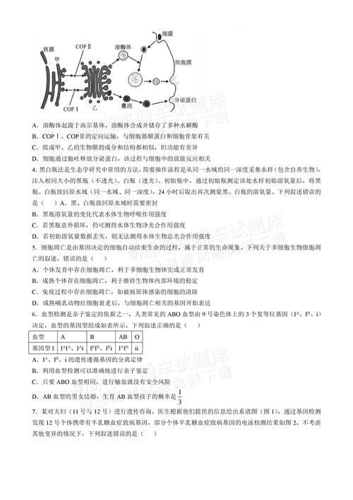 2025新澳门全年免费大全和全国一卷 难与全国一卷难还是二卷难